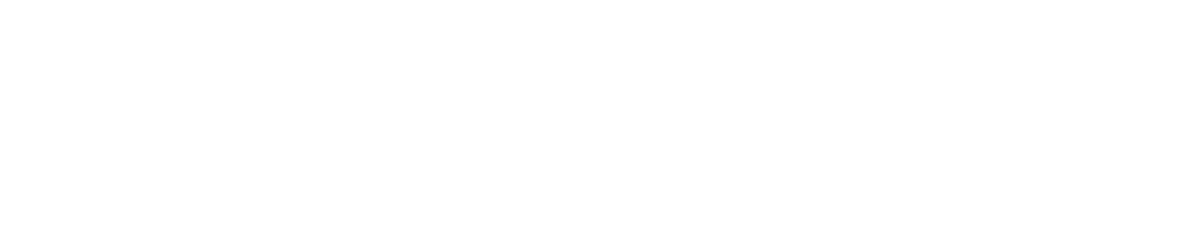 Dental Strategy